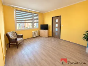 Pronájem bytu 1+1, Roudnice nad Labem, Bořivojova, 35 m2