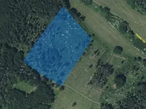 Dražba lesa, Kropáčova Vrutice, 22535 m2