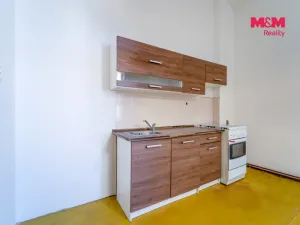 Pronájem bytu 2+1, Plzeň - Vnitřní Město, Rooseveltova, 81 m2