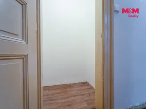 Pronájem bytu 2+1, Plzeň - Vnitřní Město, Rooseveltova, 81 m2