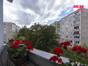 Prodej bytu 3+1, Chodov, Husova, 68 m2