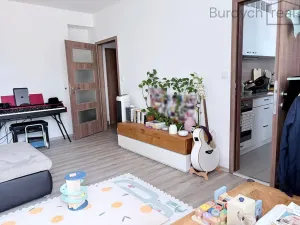 Pronájem bytu 2+1, Brno, Ptašínského, 57 m2