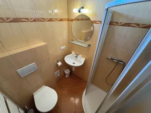Prodej rodinného domu, Nové Hutě, 300 m2