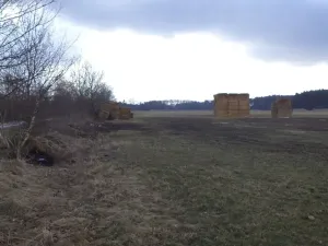 Dražba louky, Lužnice, 608 m2