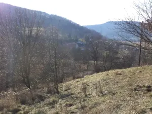 Dražba zahrady, Trmice, 640 m2
