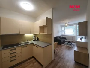 Pronájem bytu 2+kk, Všemina, 47 m2