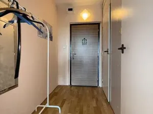 Prodej bytu 1+kk, Ostrava - Zábřeh, Petruškova, 30 m2