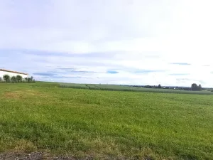 Prodej pole, Holice, 2325 m2