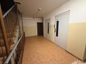 Pronájem bytu 3+1, Praha - Strašnice, Pod strání, 74 m2