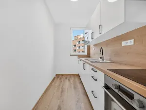 Pronájem bytu 2+1, České Budějovice, L. M. Pařízka, 53 m2