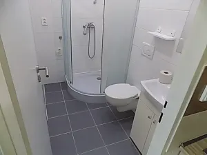 Pronájem bytu 1+kk, Prostějov, 35 m2