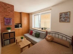Prodej bytu 1+kk, Přemyslovice, 33 m2