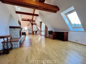 Pronájem bytu 4+kk, Brno, Tichého, 120 m2