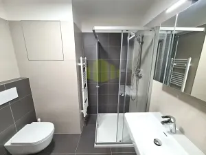 Pronájem bytu 1+kk, Olomouc, Wolkerova, 31 m2