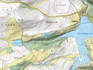 Prodej podílu lesa, Vrchotovy Janovice, 650 m2