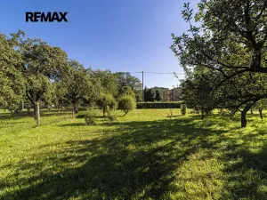 Prodej pozemku pro bydlení, Olšany, 1015 m2
