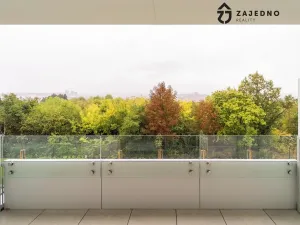 Pronájem bytu 1+kk, Brno, třída Generála Píky, 35 m2