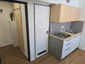 Pronájem bytu 2+kk, Opava, Máchova, 48 m2