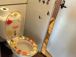 Pronájem bytu 2+1, Klatovy, Pod Hůrkou, 60 m2
