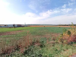 Prodej pole, Perná, 69111 m2