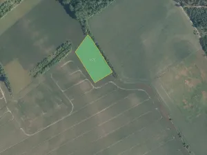 Prodej pole, Dřísy, 8020 m2