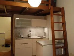 Pronájem bytu 1+kk, Praha - Podolí, Levá, 23 m2