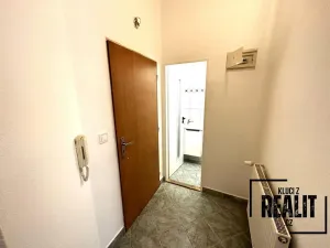 Pronájem bytu 1+kk, Praha - Žižkov, Seifertova, 50 m2