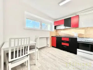 Pronájem bytu 1+1, Český Těšín, Sídliště ONV, 30 m2