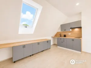 Prodej bytu 1+kk, Brno, Viniční, 51 m2