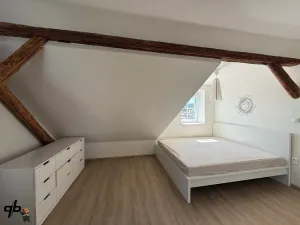 Pronájem bytu 3+kk, Bílovec, Valová, 96 m2