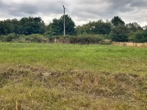 Prodej pozemku, Neveklov - Dalešice, 1333 m2