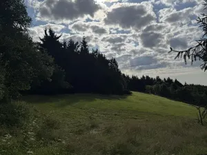 Prodej podílu lesa, Proseč pod Ještědem, 3598 m2