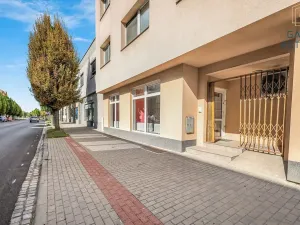 Prodej obchodního prostoru, Holešov, Palackého, 87 m2