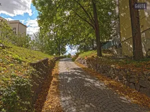 Prodej komerčního pozemku, Brno, Slepá, 2919 m2