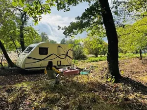 Prodej lesa, Postupice, 893 m2