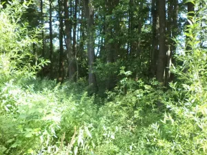 Prodej pozemku, Chodský Újezd - Nahý Újezdec, 1046 m2