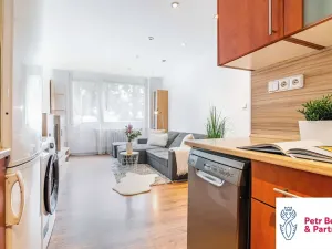 Prodej bytu 2+kk, Rakovník, V Lukách, 39 m2