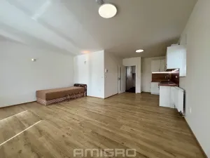 Pronájem bytu 1+kk, Malhostovice, 40 m2