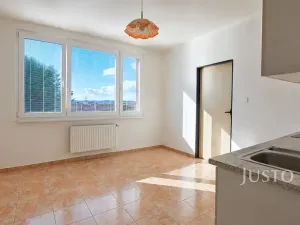 Pronájem bytu 1+1, Písek, Harantova, 36 m2