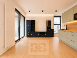 Pronájem bytu 1+kk, Brno, Pod Kavkami, 40 m2