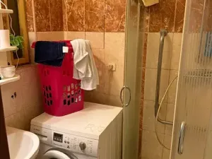 Prodej bytu 2+1, Praha - Braník, Novodvorská, 75 m2