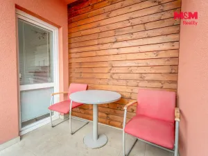Pronájem bytu 2+kk, Plzeň - Jižní Předměstí, U Borských kasáren, 44 m2