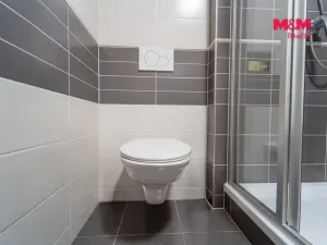 Pronájem bytu 2+kk, Plzeň - Jižní Předměstí, U Borských kasáren, 44 m2
