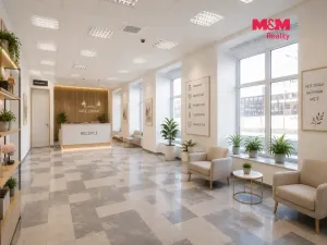 Prodej obchodního prostoru, Praha - Libeň, Sokolovská, 144 m2
