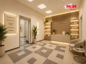 Prodej obchodního prostoru, Praha - Libeň, Sokolovská, 144 m2