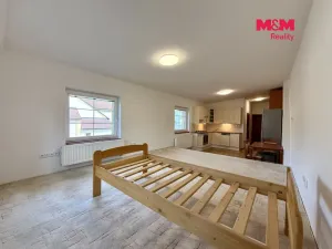 Pronájem bytu 1+kk, Kladno, Rooseveltova, 42 m2