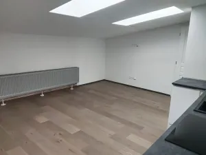 Pronájem bytu 3+kk, Olomouc, tř. Svornosti, 42 m2