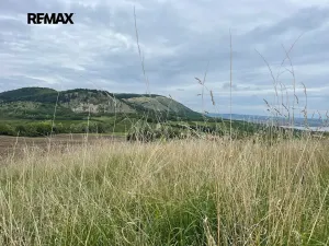 Prodej ubytování, Pohořelice, 1800 m2