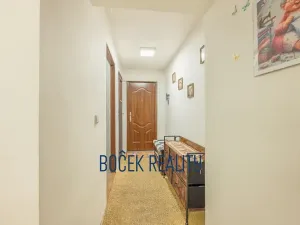 Prodej rodinného domu, Sýkořice, 211 m2