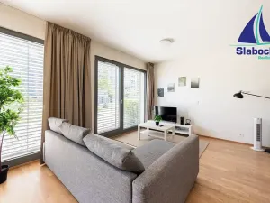 Pronájem bytu 1+kk, Praha - Karlín, Breitfeldova, 45 m2
